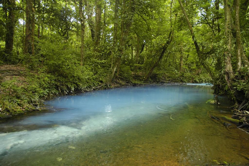 Hotel Catarata Rio Celeste Bijagua Kültér fotó