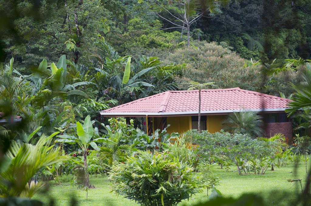 Hotel Catarata Rio Celeste Bijagua Kültér fotó