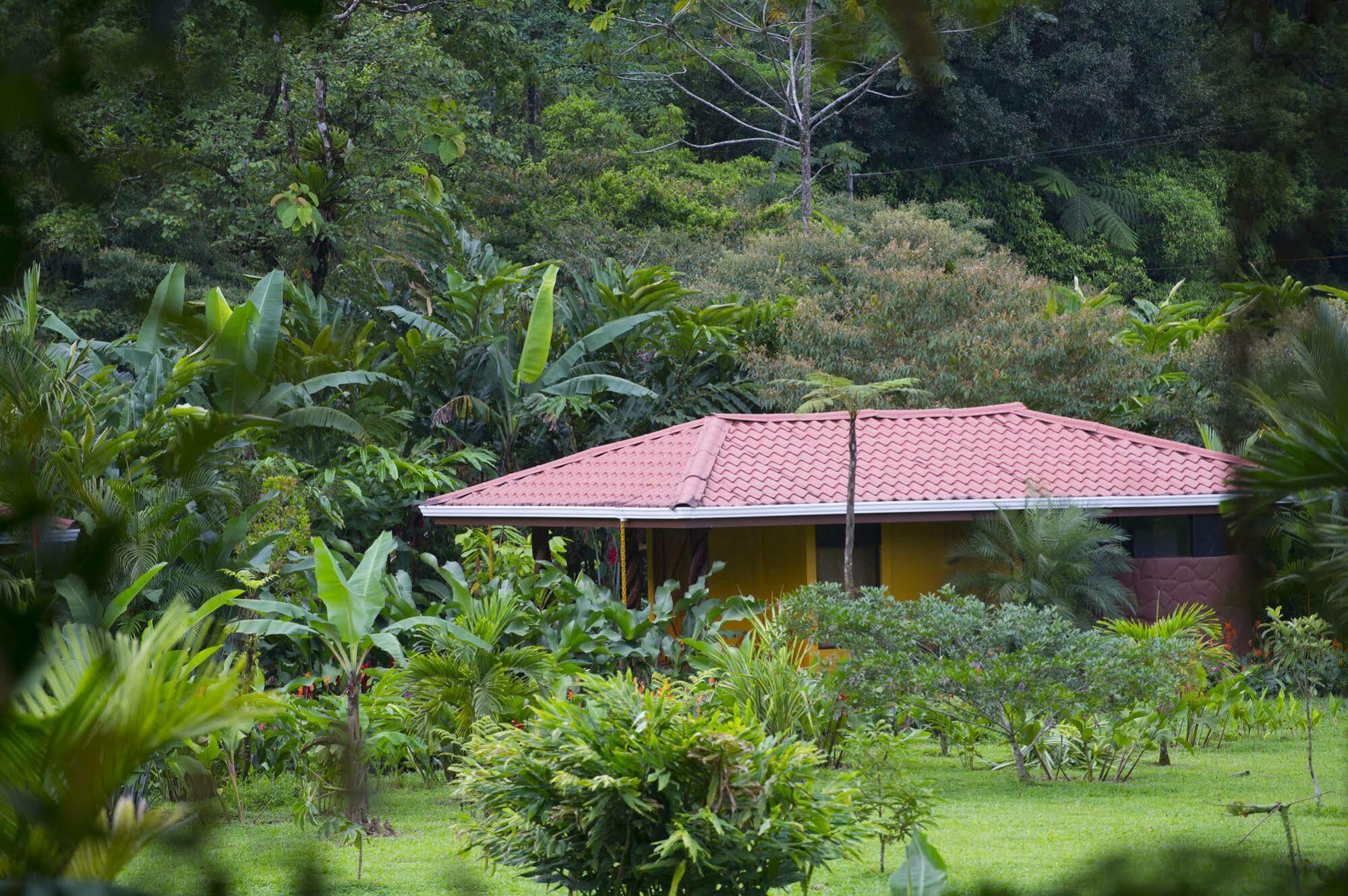 Hotel Catarata Rio Celeste Bijagua Kültér fotó