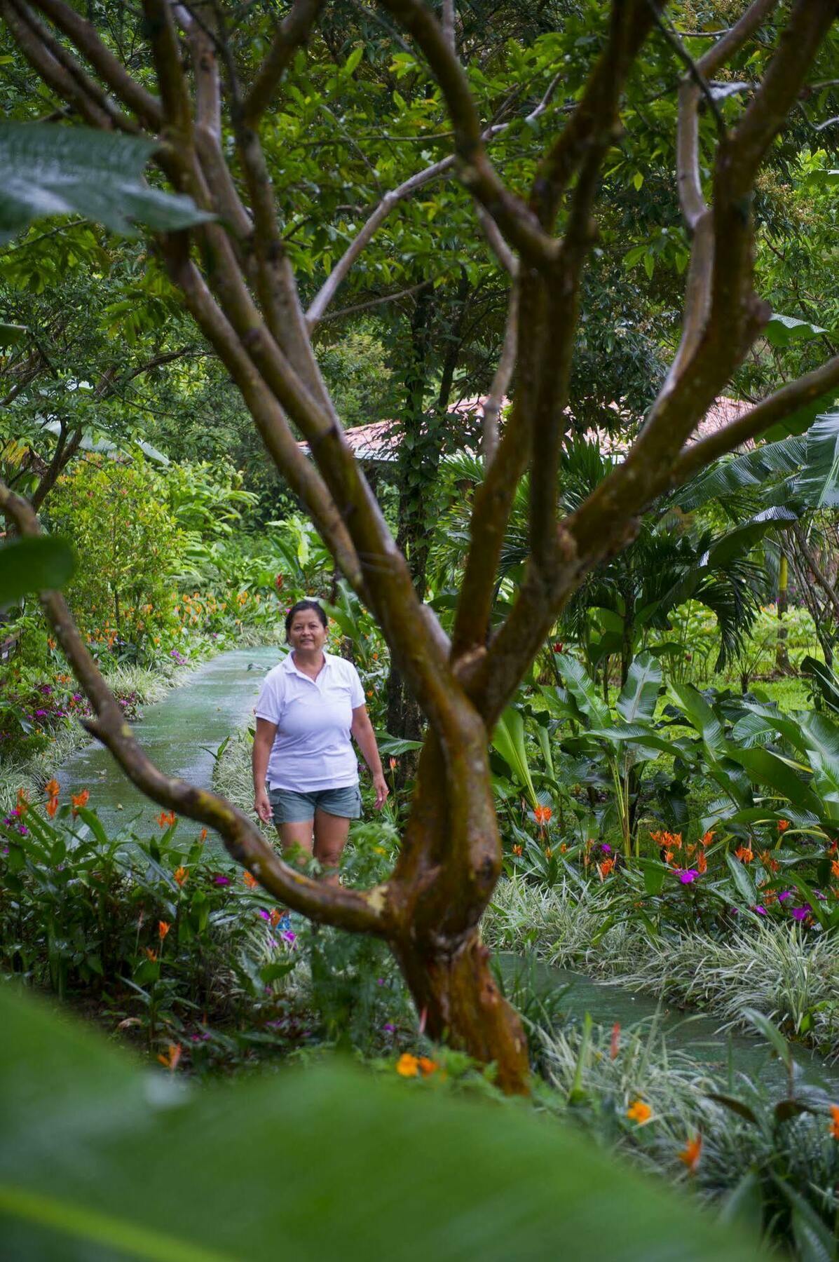 Hotel Catarata Rio Celeste Bijagua Kültér fotó