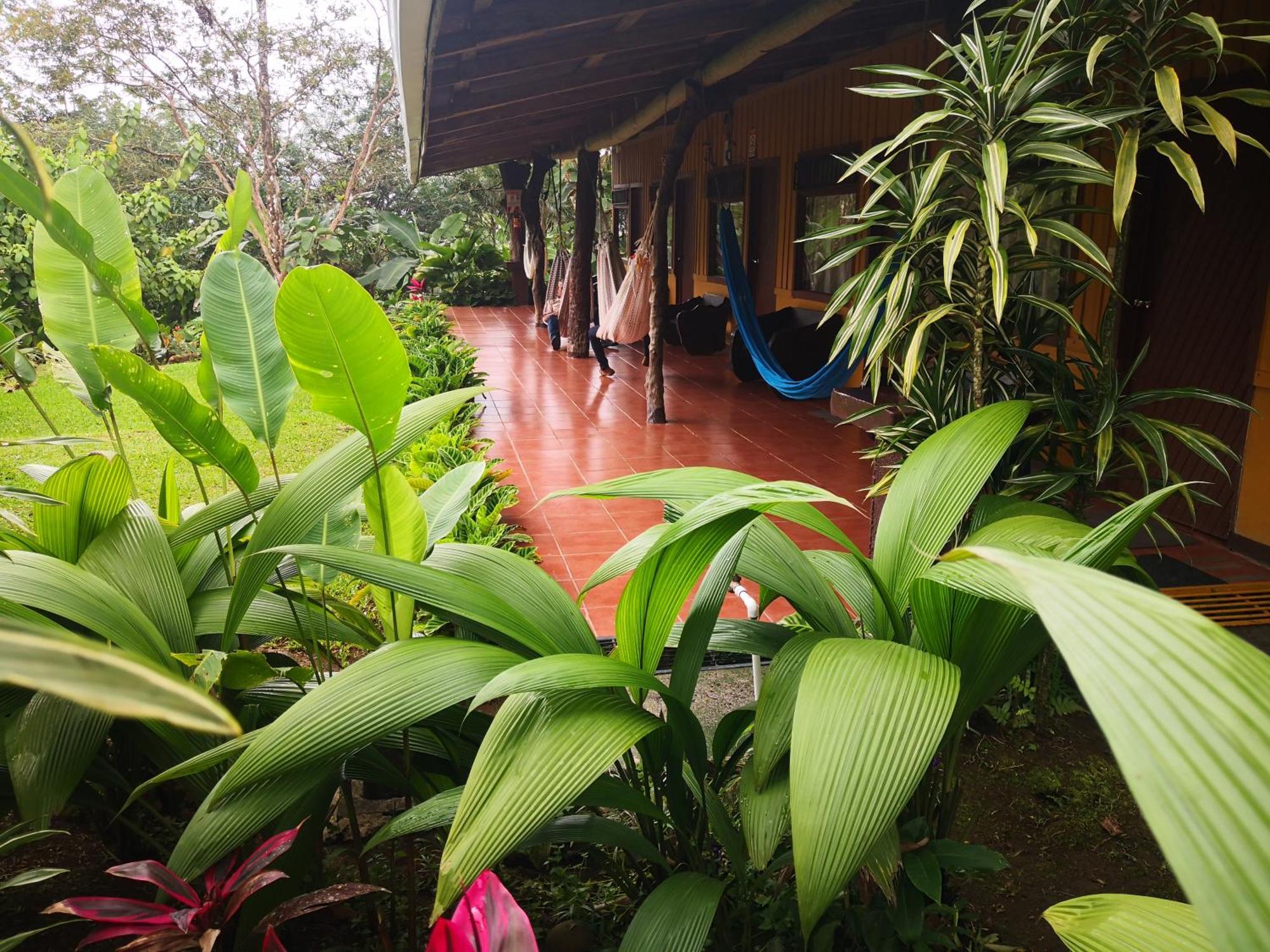 Hotel Catarata Rio Celeste Bijagua Kültér fotó